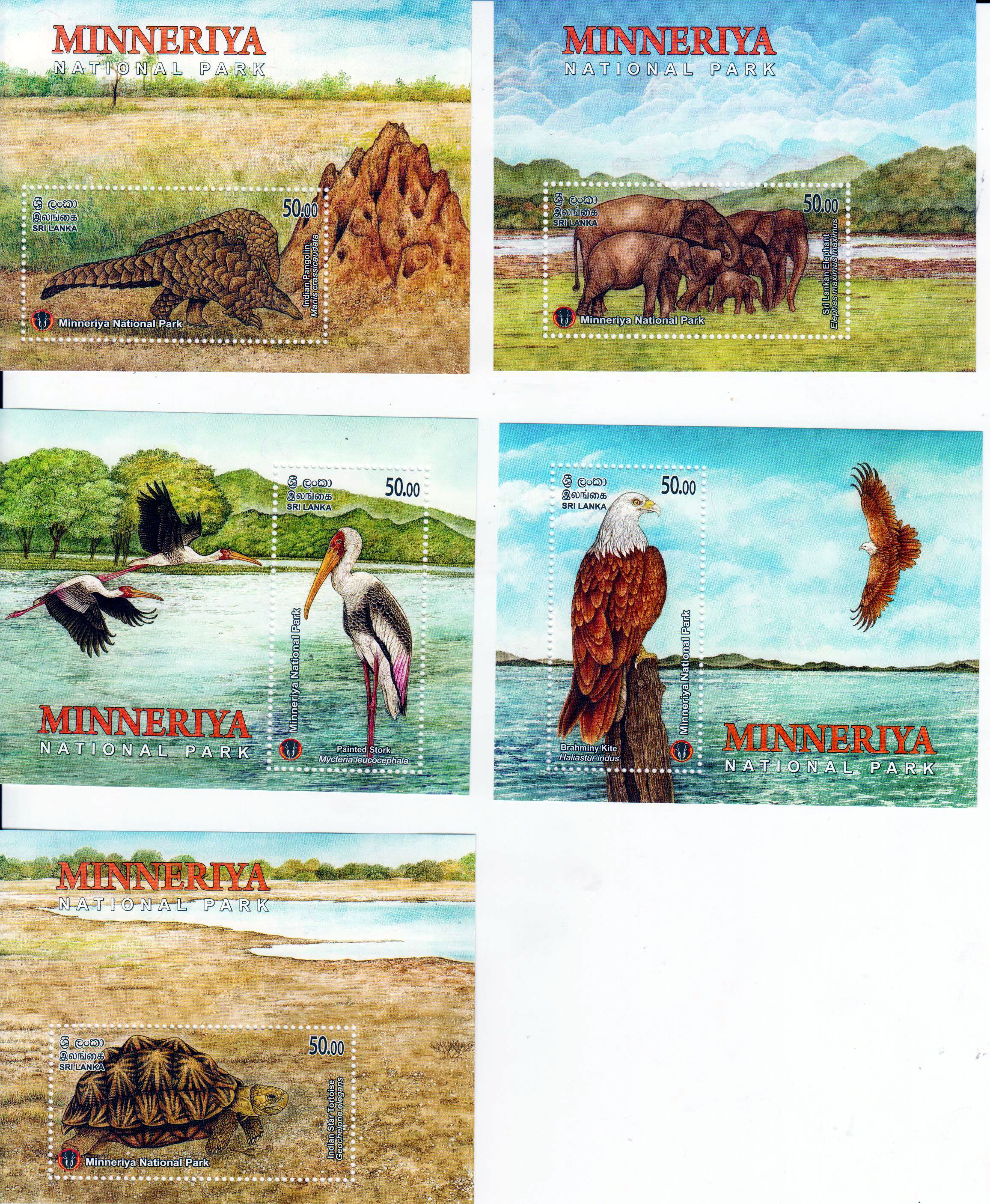 Block: Minneriya Nationalpark 2025