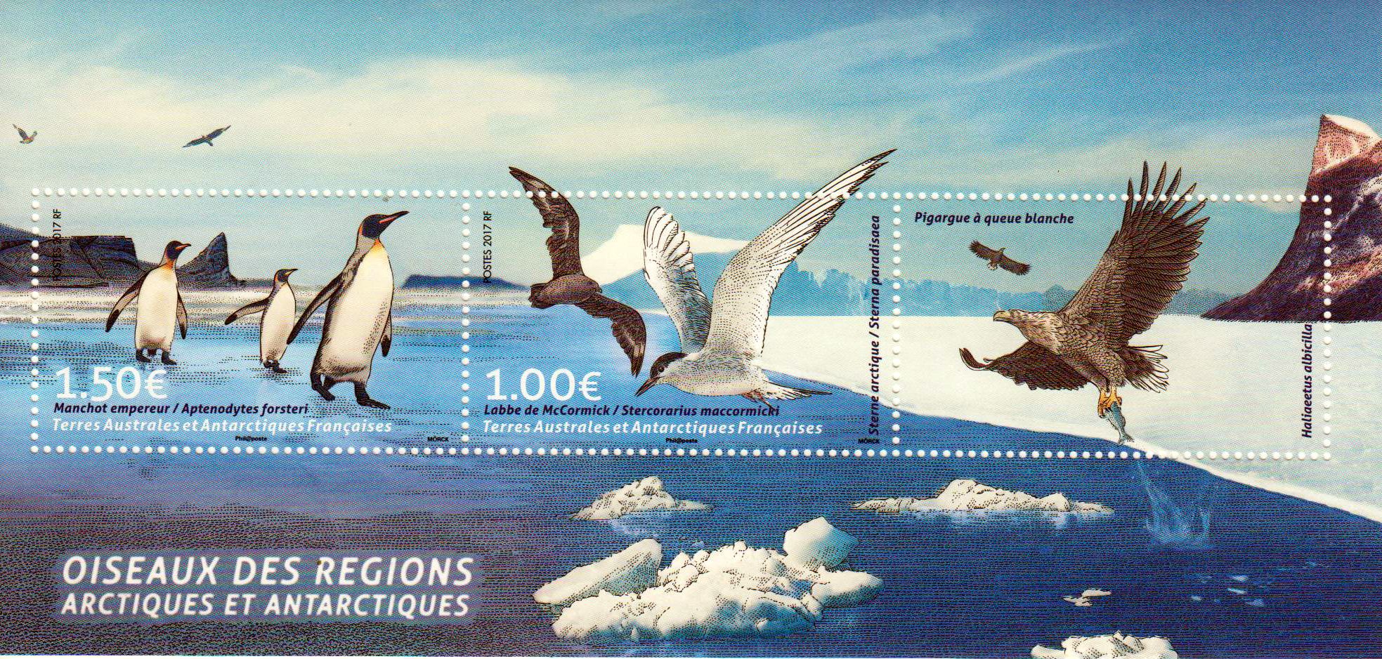 Block: Vögel, Grönland, Möwe, Pinguin, Adler, GA