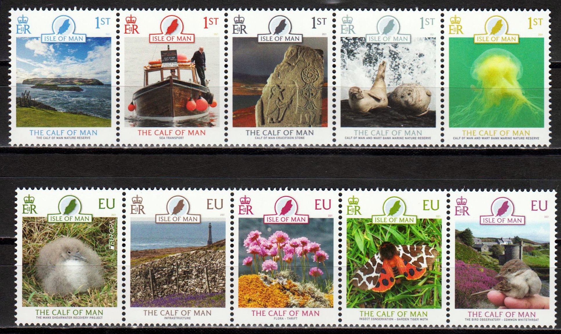 Calf of Man 2021, Boot, Tiere,