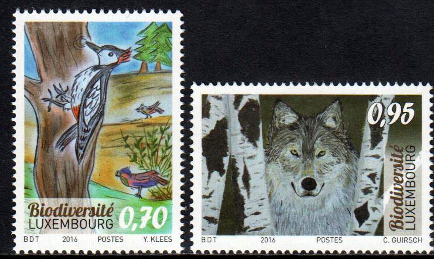 Biodiversität, Specht, Wolf