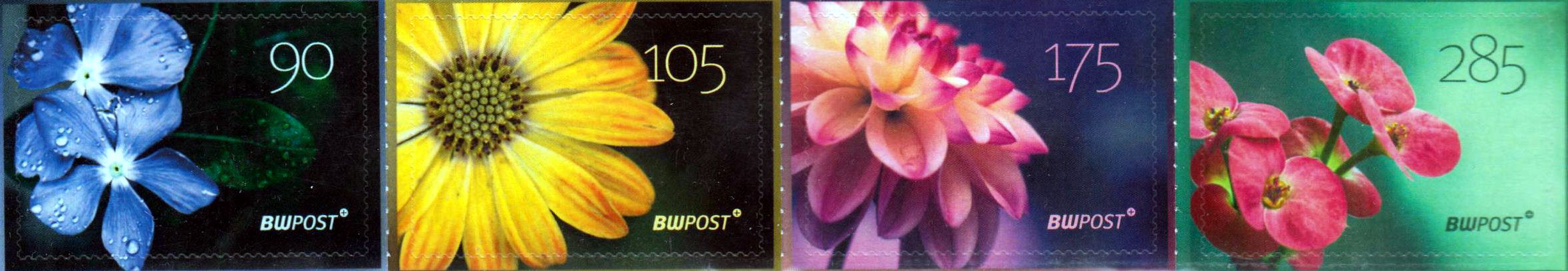 Blumen, Portoänderung 2025