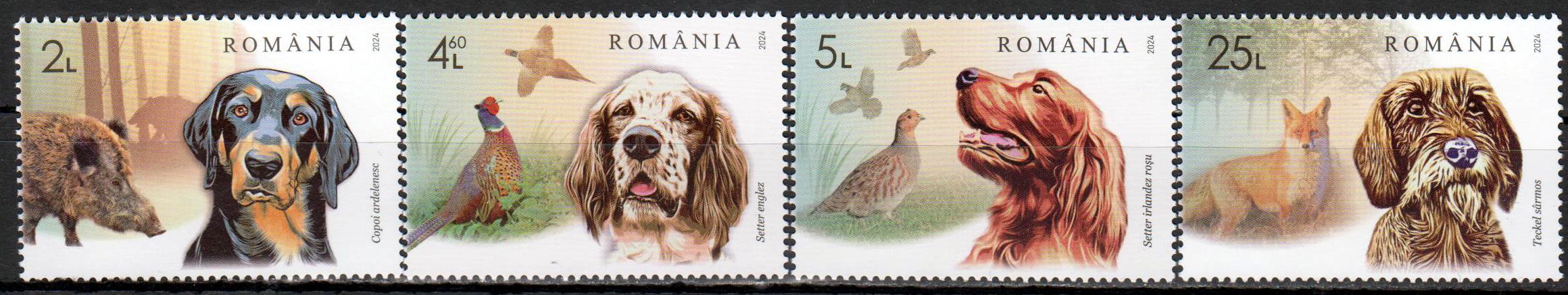 Jagd und Angel-Verband 2024, Jagdhunde