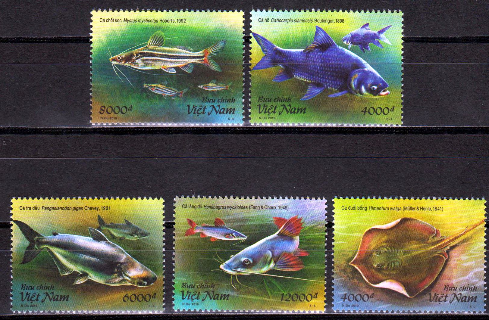 Fische aus dem Mekong 2019