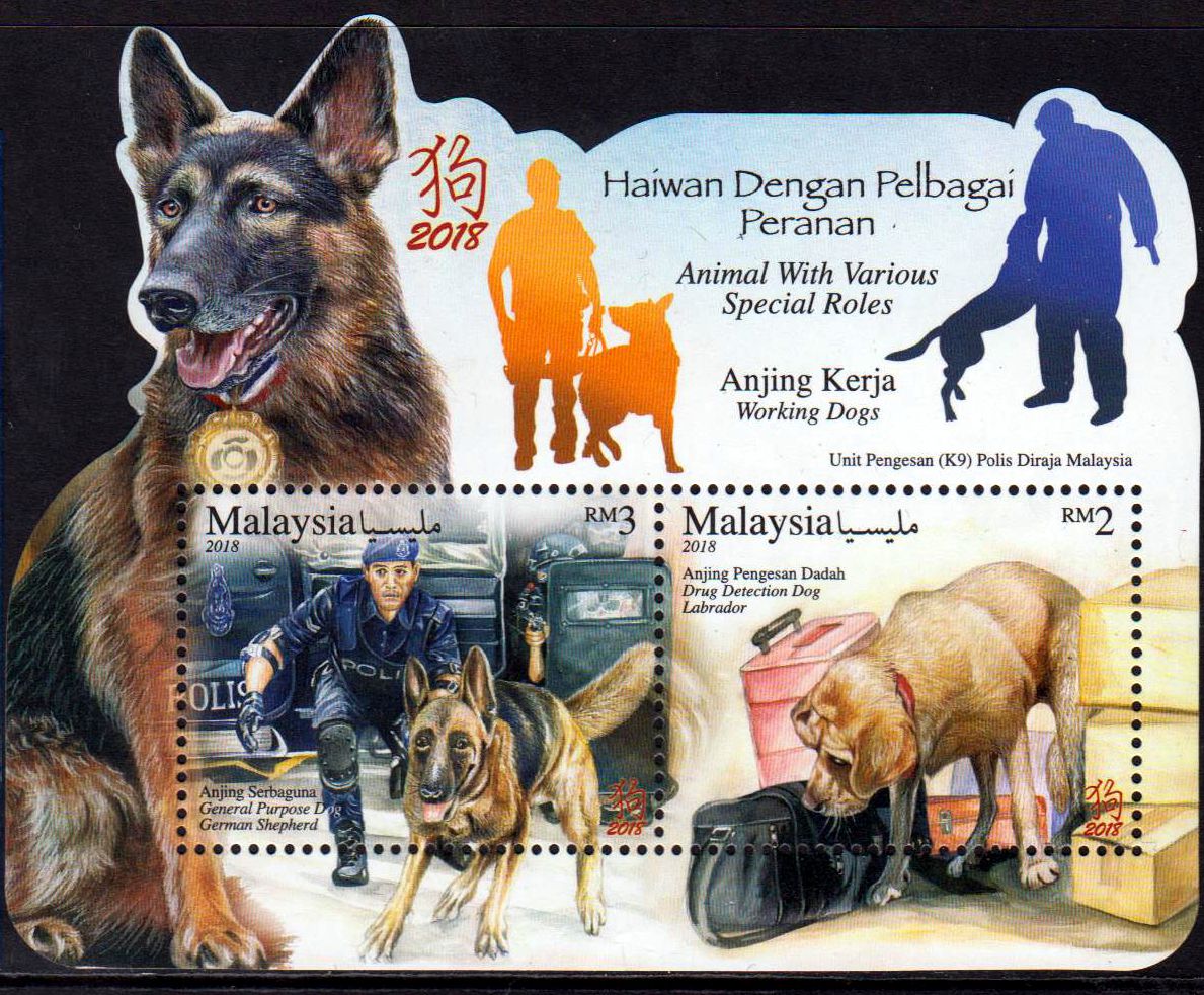 Block: Arbeitshunde 2018