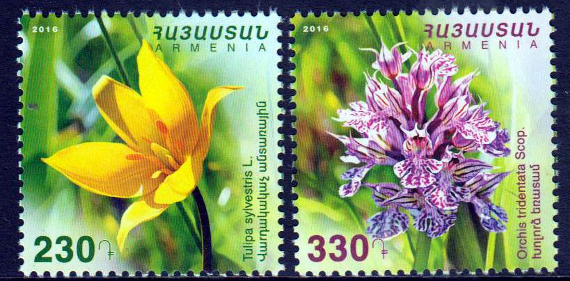 Blumen 2016