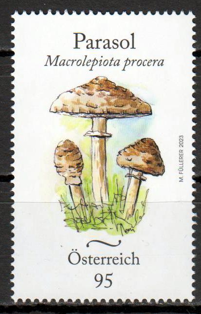 Parasol Pilz 2023