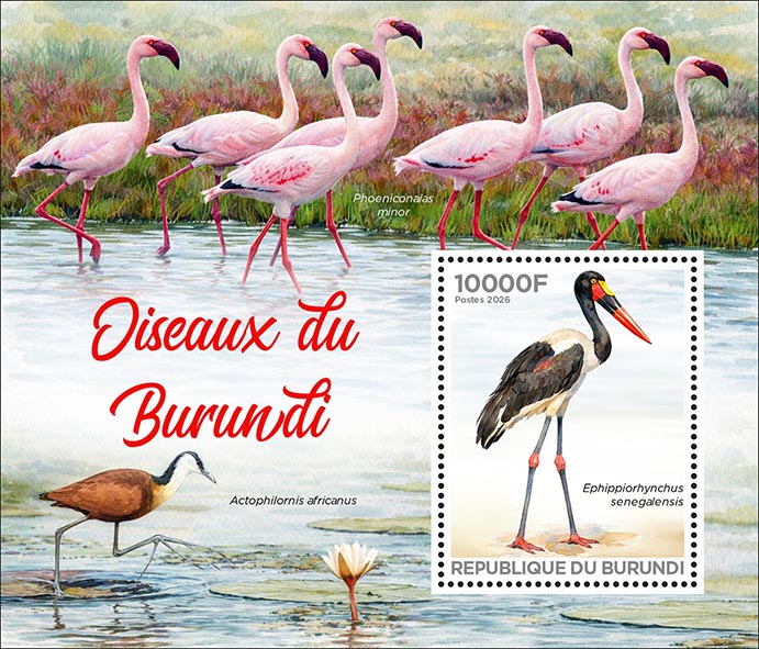 Block: Vögel Burundis 2026