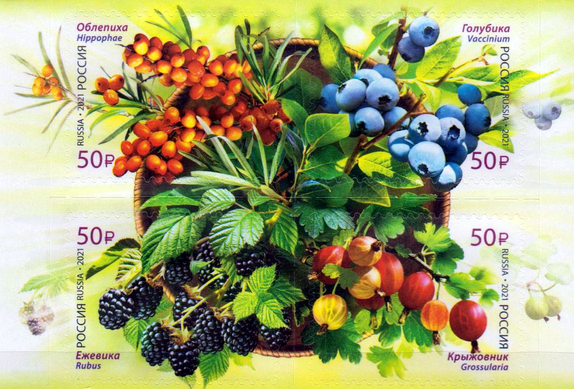 Flora 2021, Beeren, sk
