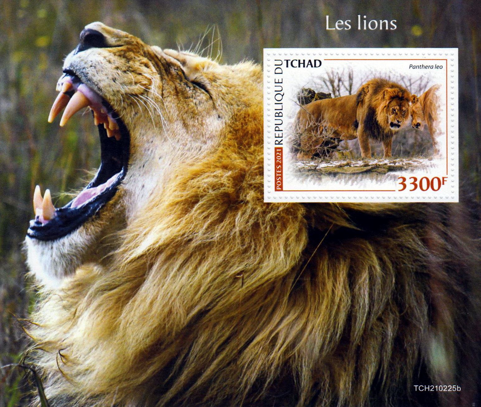 Block: Löwen 2021