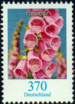 Dauer: Fingerhut 2019