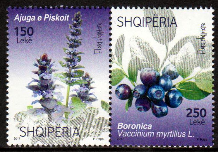 Flora 2017, Heidelbeere