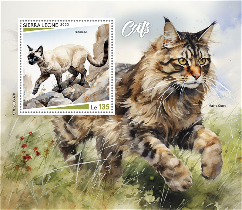 Block: Katzen 2023