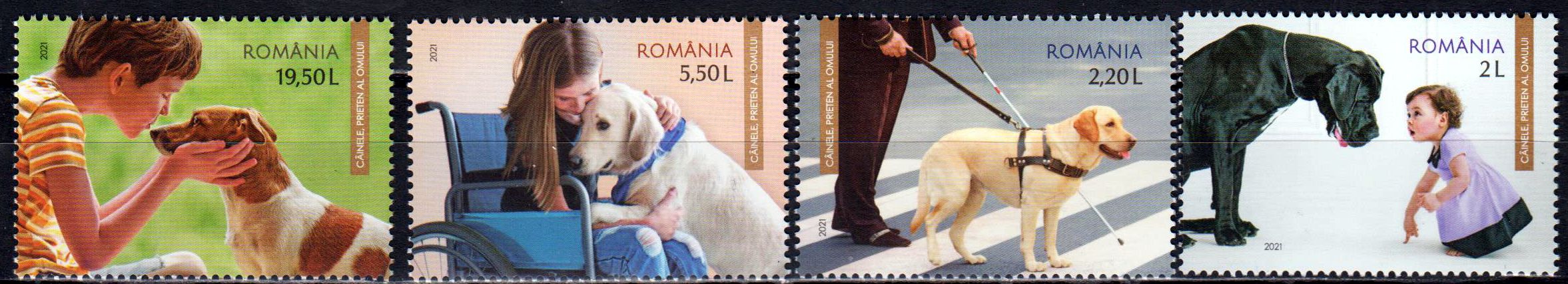 Hunde 2021, Kinder