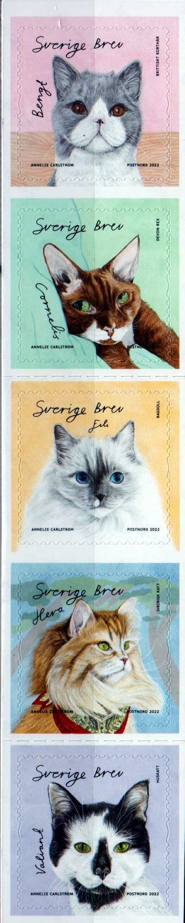 Katzen 2022, sk, a.MH