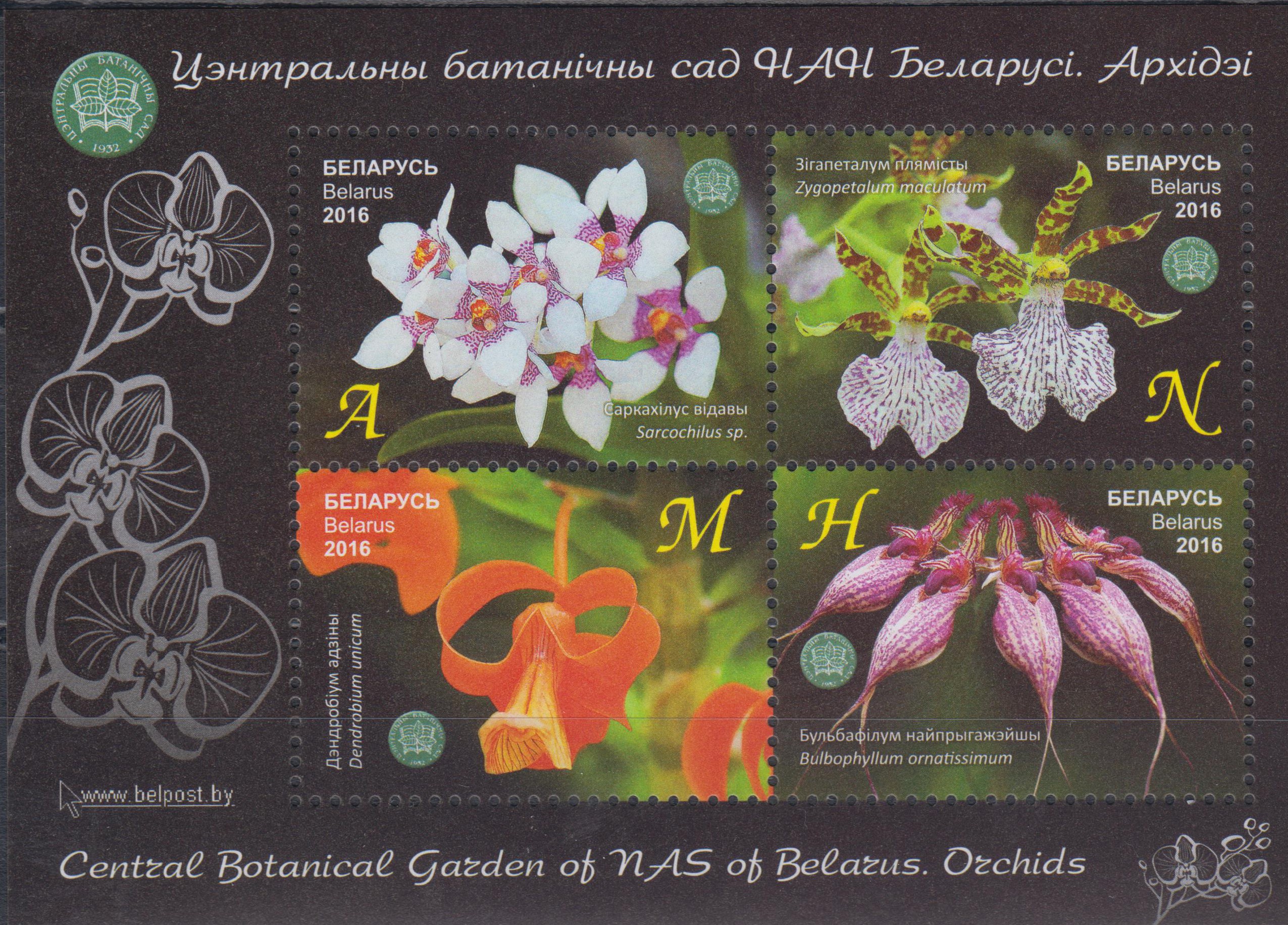 Block: Bot. Garten NAS, Orchideen (16P02)