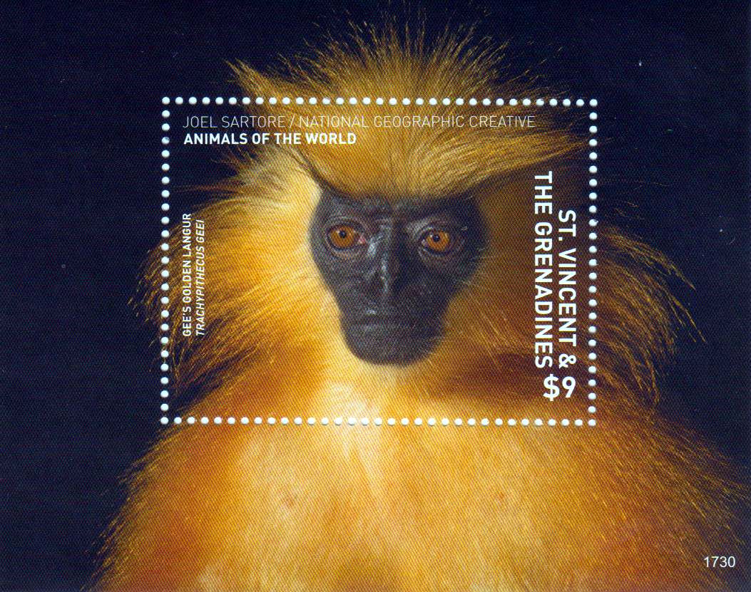 Block: Tiere der Welt 2017, Goldlangur