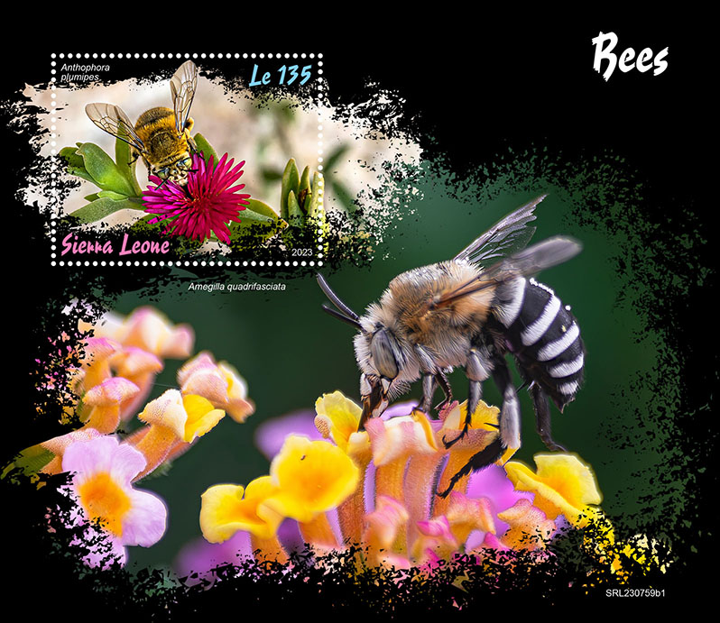 Block: Bienen 2023 I