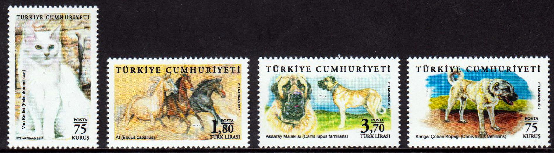 Tiere 2017, Hunde, Katze, Pferde