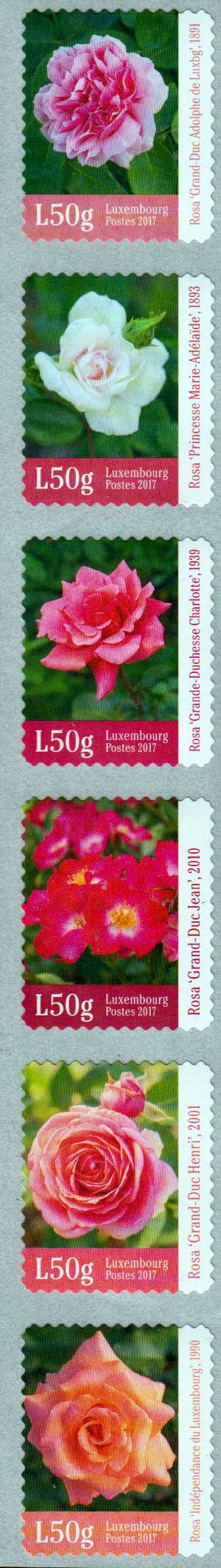 Postocollants Rosen, sk, v. Rolle