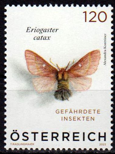 Schmetterling 2023