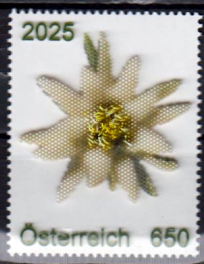 Edelweiss 2025, 3D