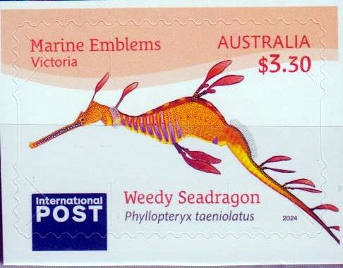 Seadragon 2024, sk
