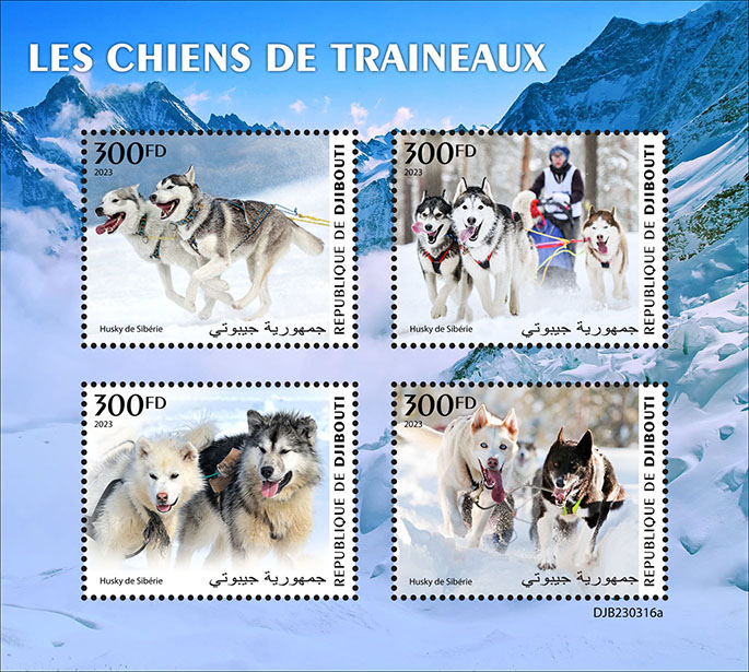 Schlittenhunde 2023