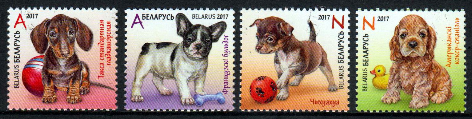 Hundekinder 2017