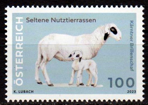 Kärntner Brillenschaf 2023