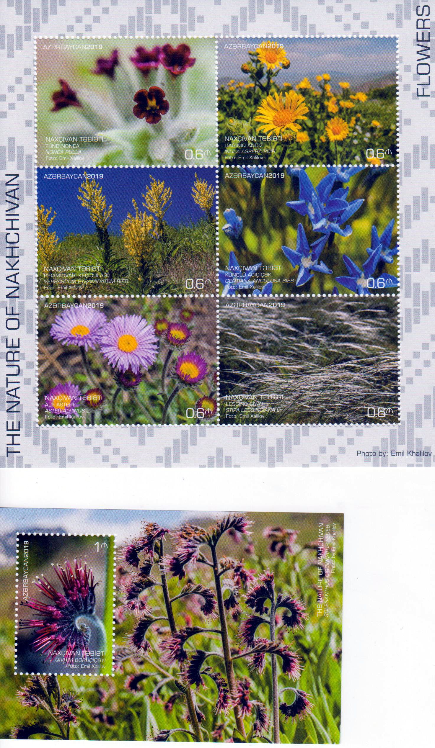 Block: Blumen von Nakhchivan 2019