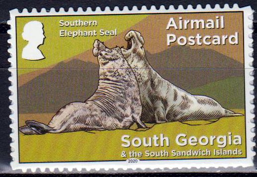Dauer: Airmail Postcard 2020, Seeelefant, sk, a.MH