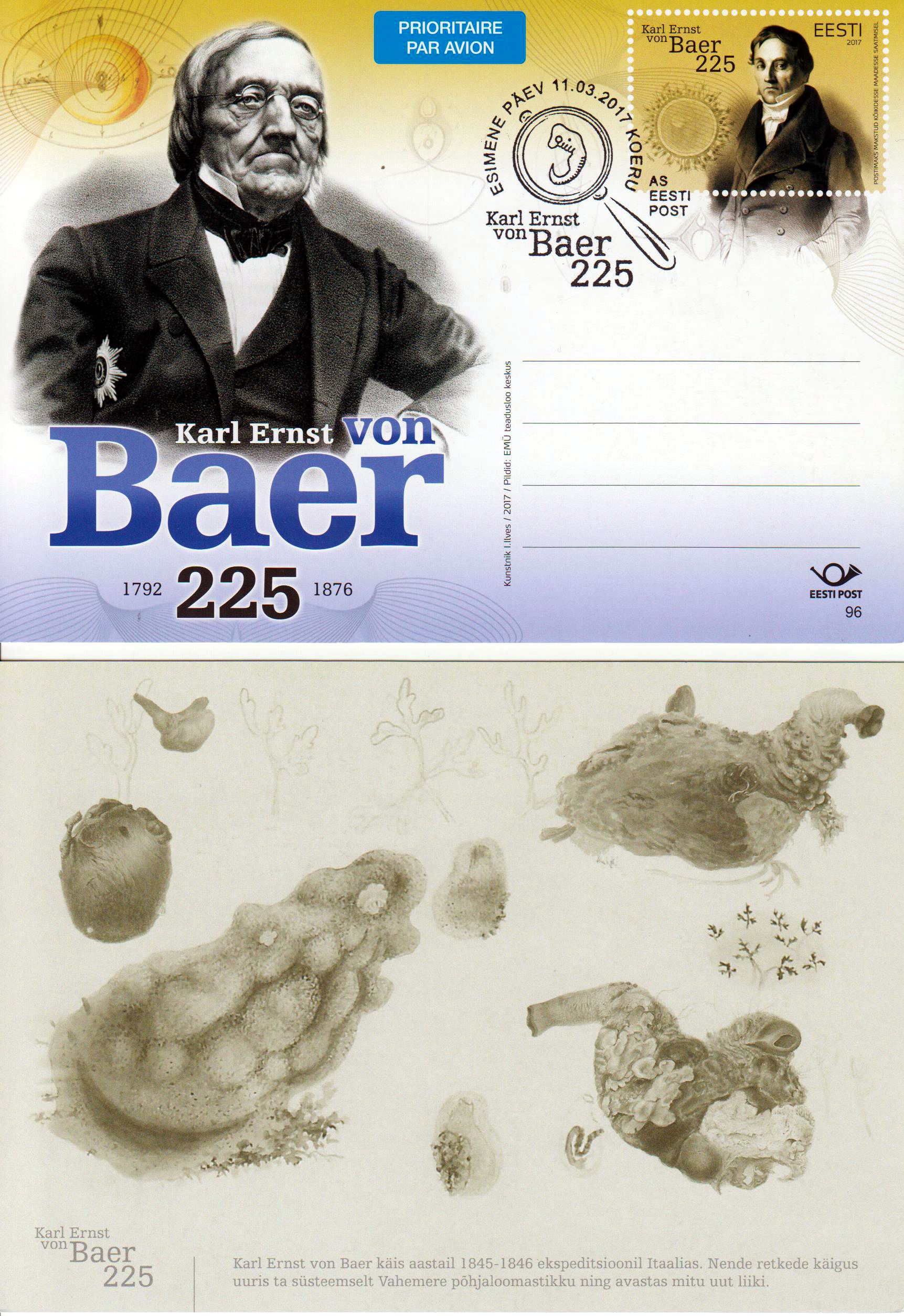 Karl Ernst von Bear 2017, nur mit ESSt möglich