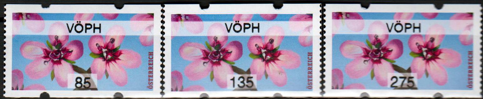 Sommer 2021, Reiherschnabel, mit Audruck "VÖPH"