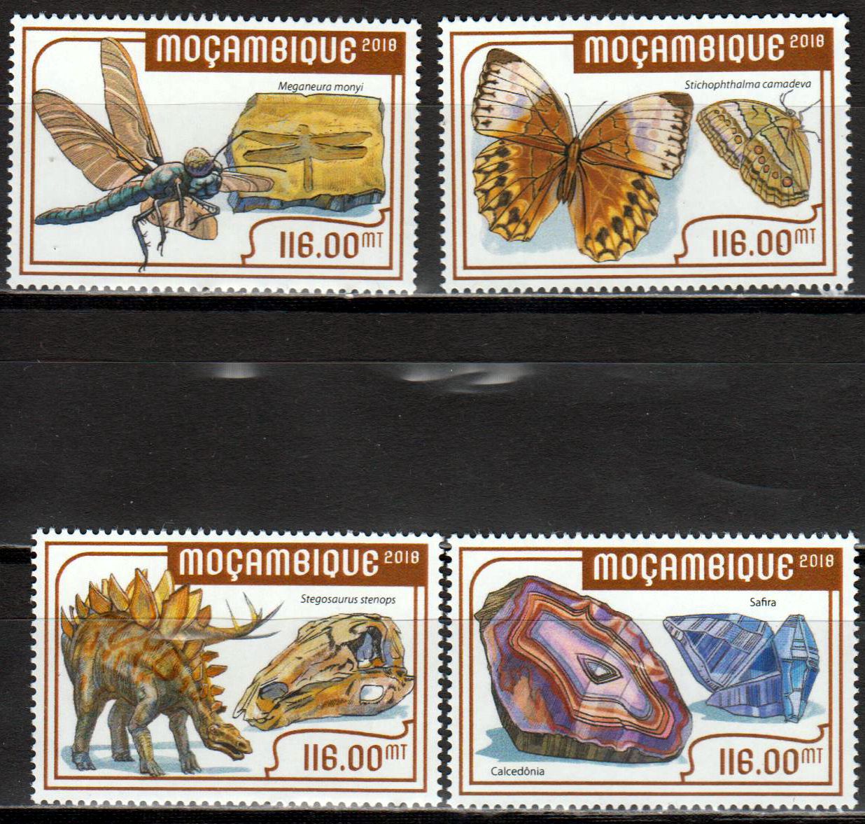 Museum für Naturkunde, Mineralien, Insekten