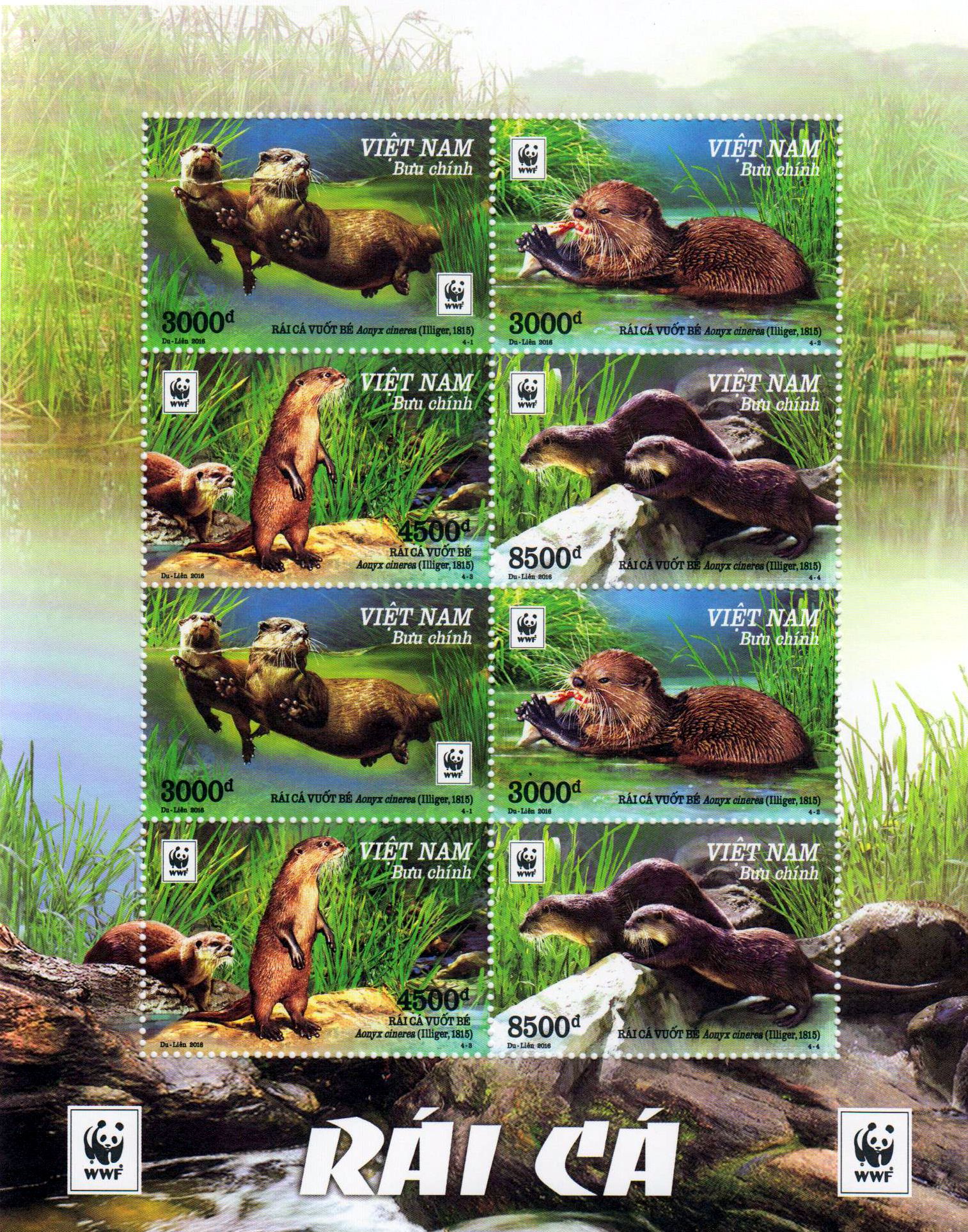 Block: WWF 2016 Otter