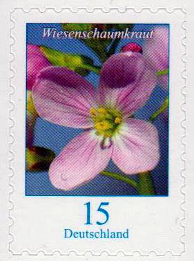 Dauer: Wiesenschaumkraut 2018, sk