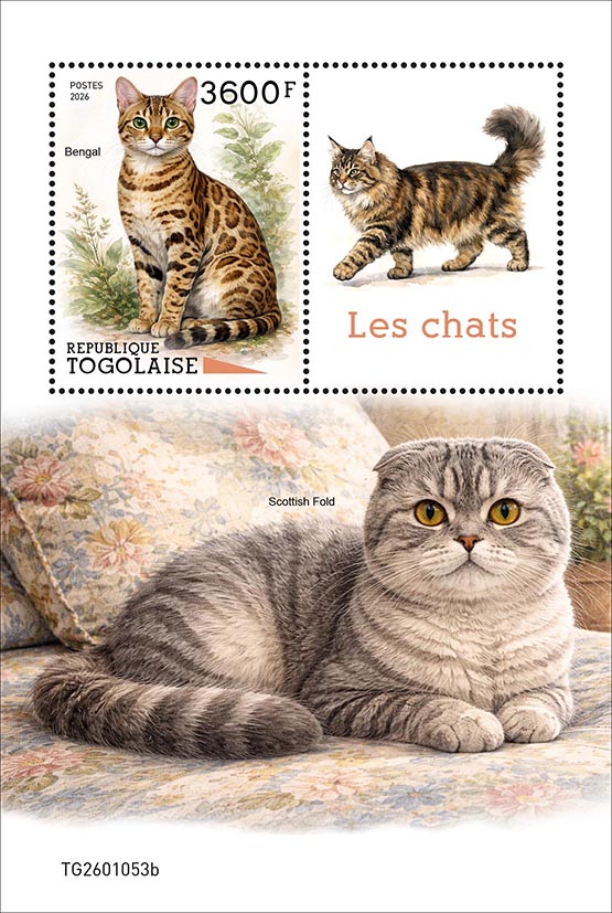 Block: Katzen 2026
