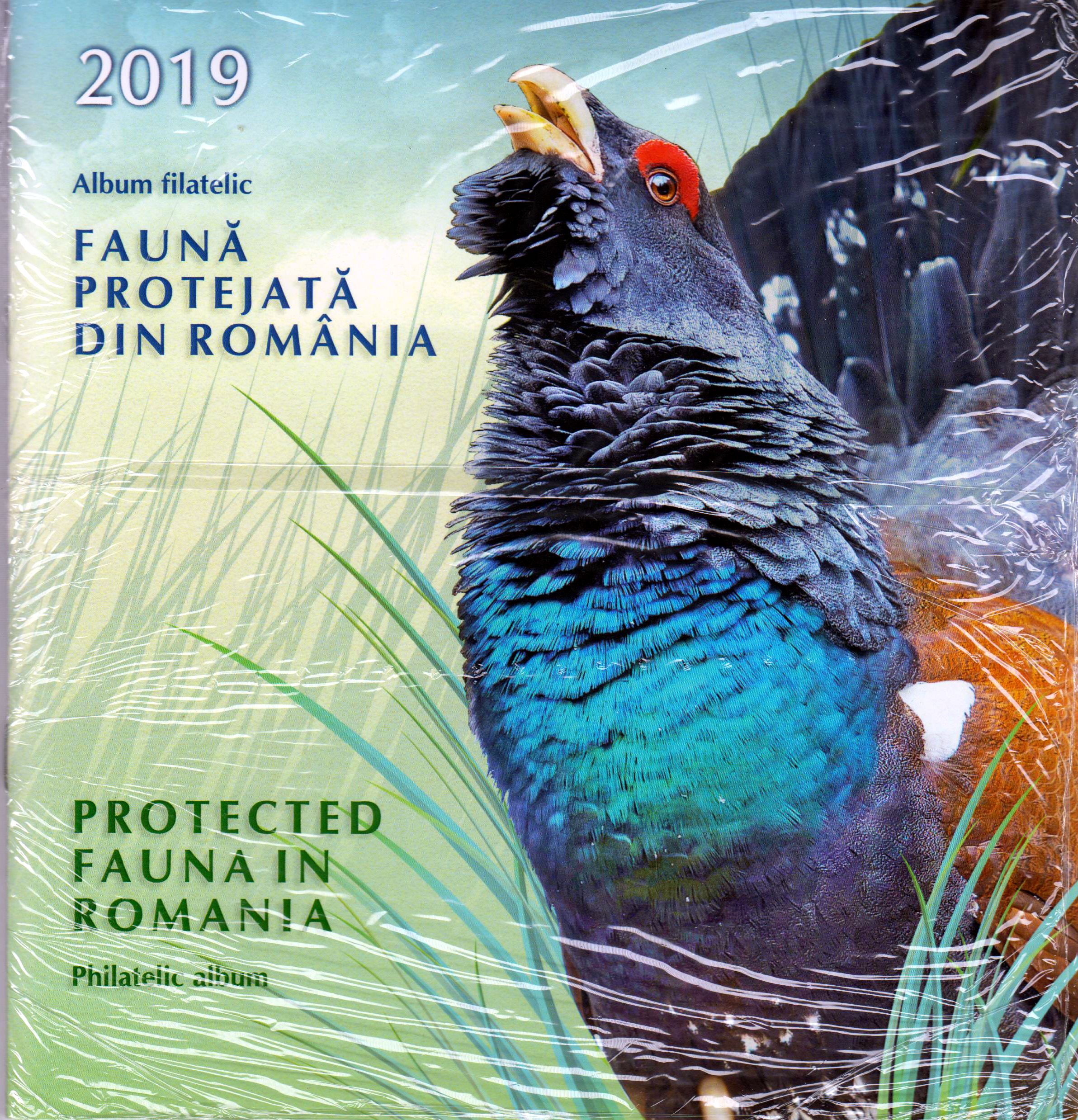 Folder: Geschützte Tiere 2019