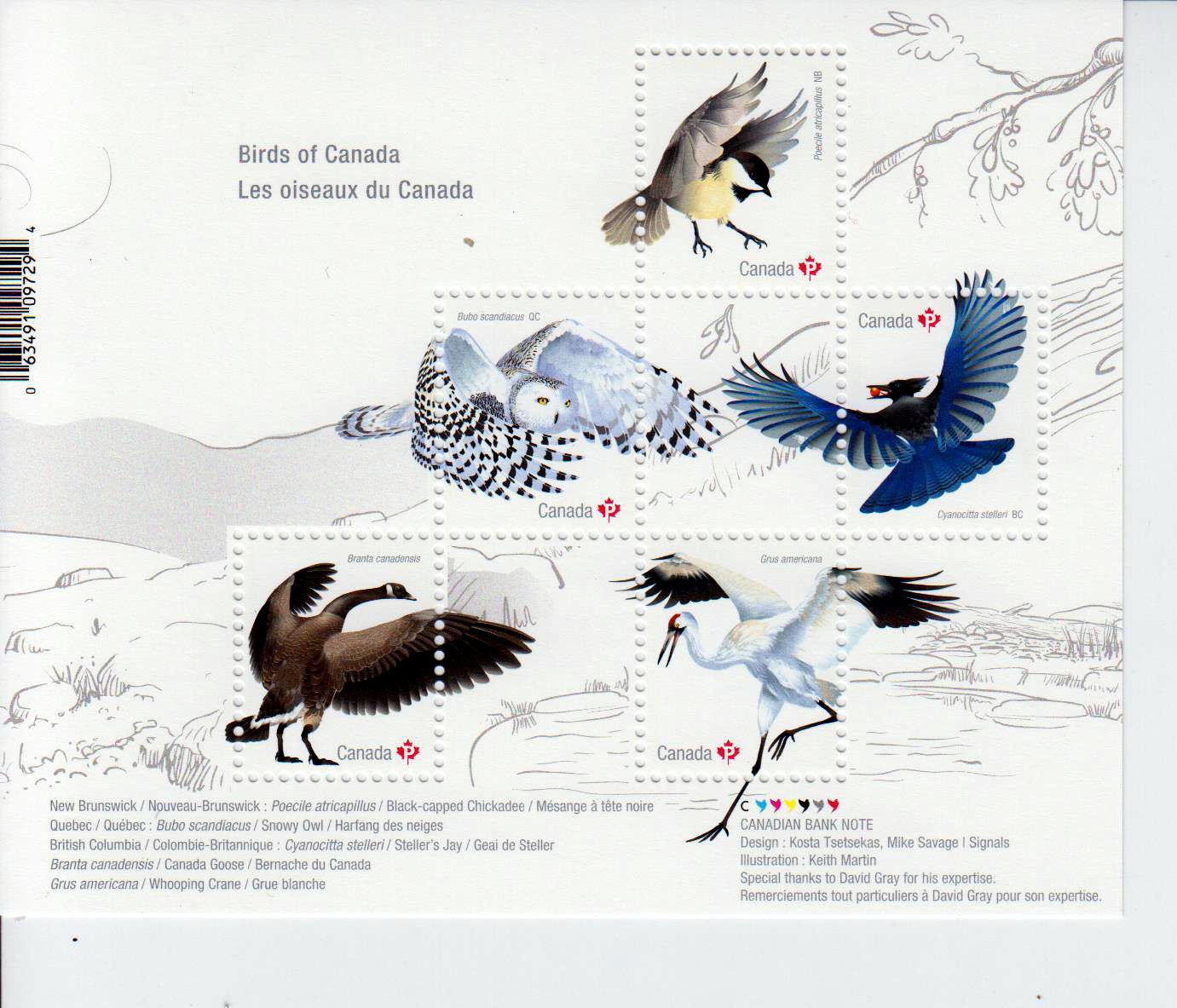 Block: Vögel in Kanada