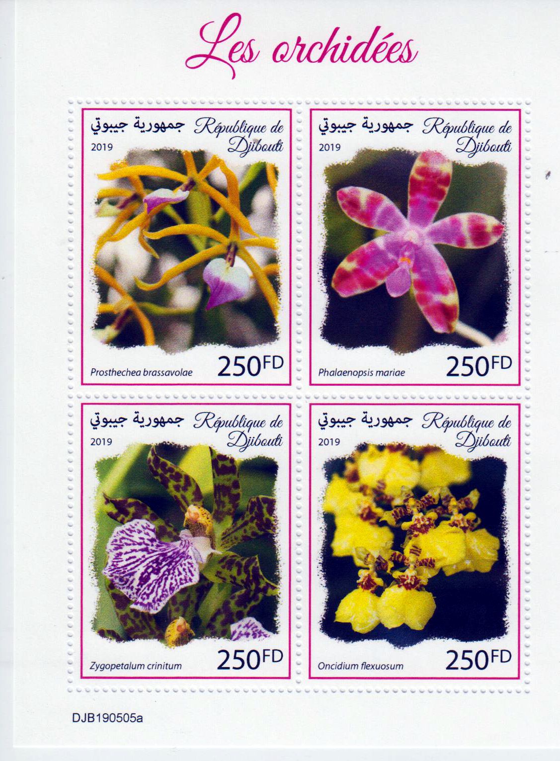 Orchideen 2019