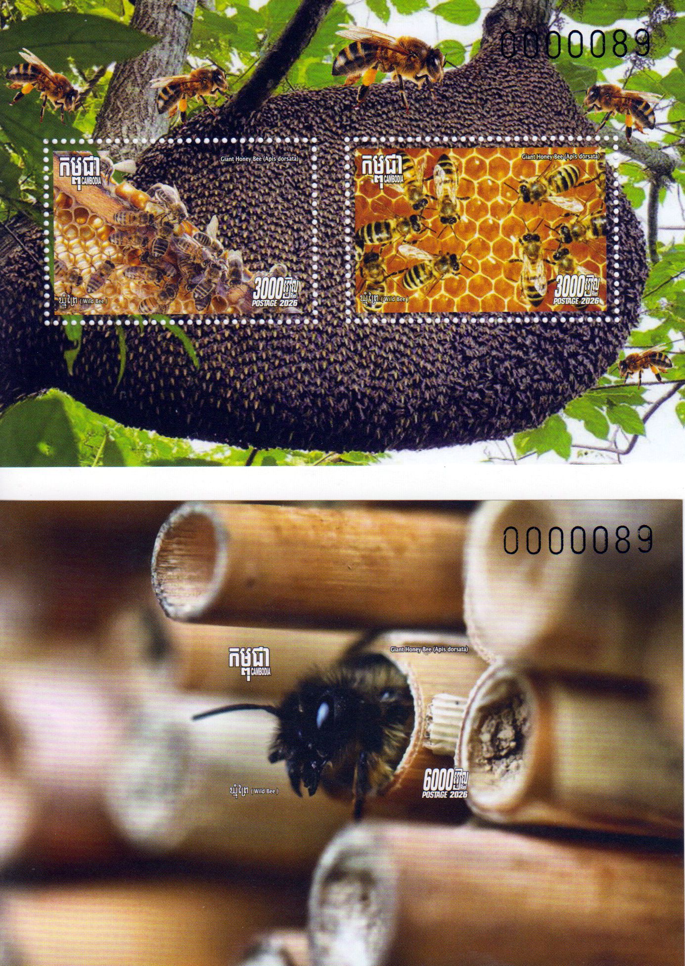 Block: Wildbienen 2026, gezähnt und geschnitten