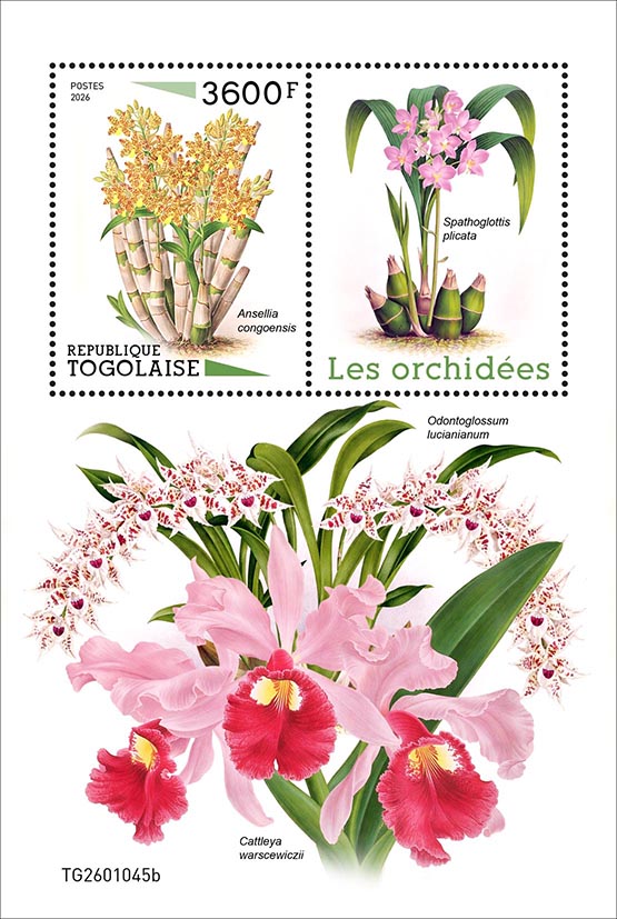 Block: Orchideen 2026