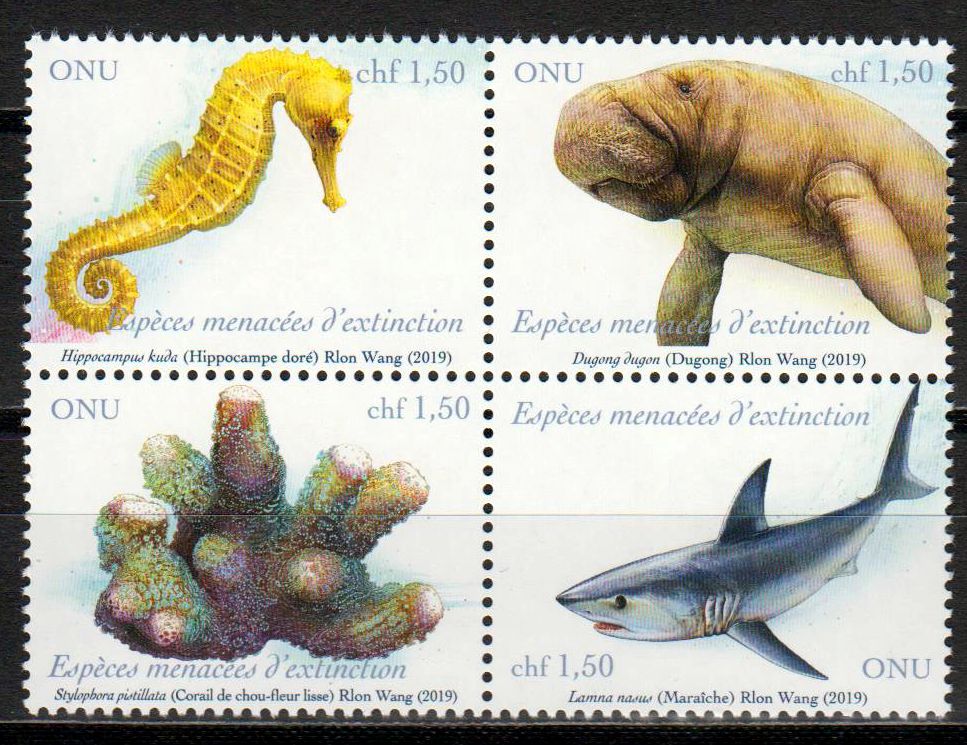 Gefährdete Arten 2019, Seepferdchen, Dugong, Koralle, Hai