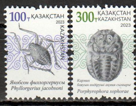 Insekten 2023, 300+100