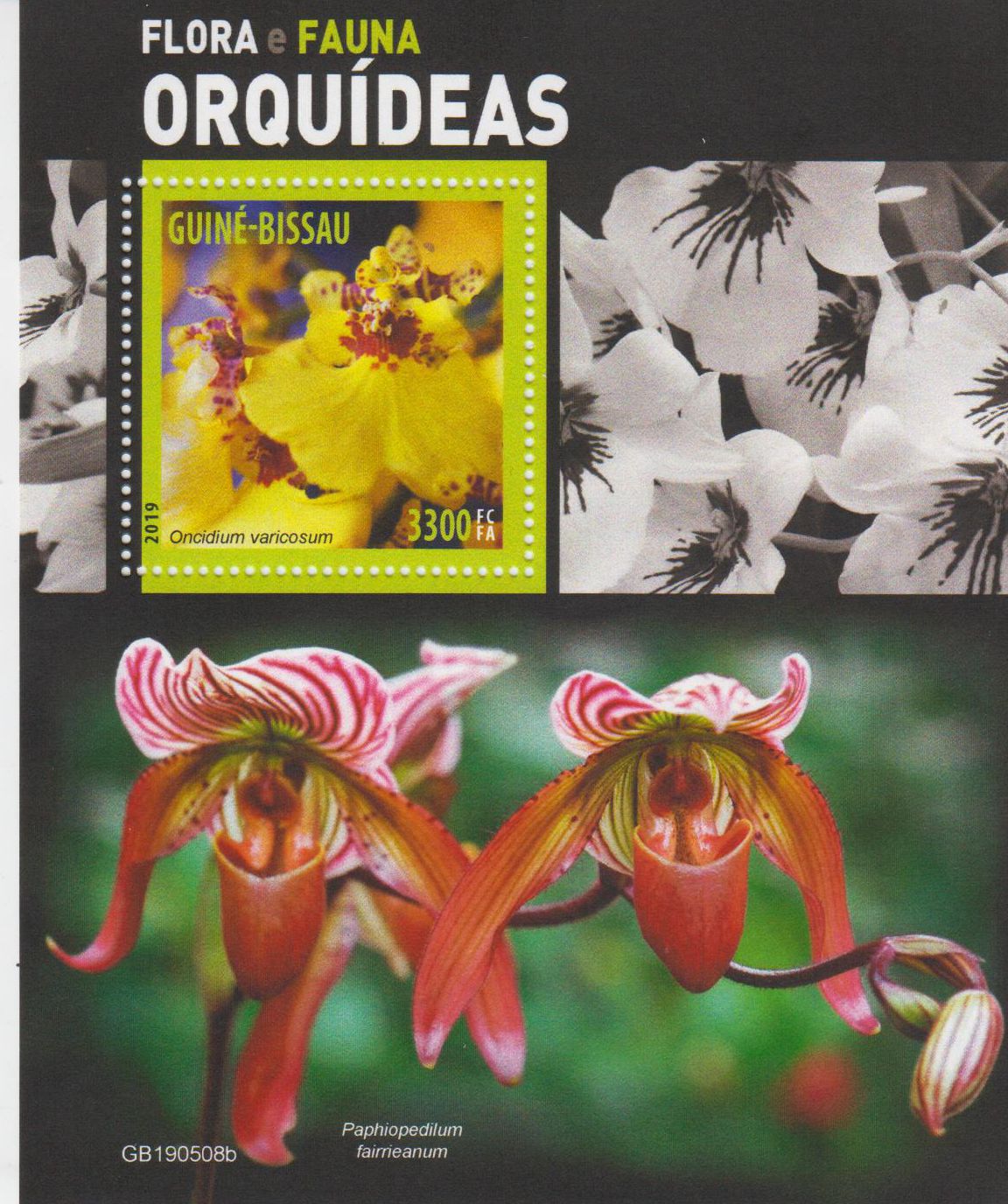 Block: Orchideen 2019