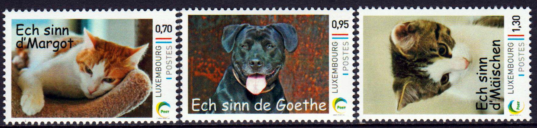 Katzen u. Hund 2016, sk (P08)