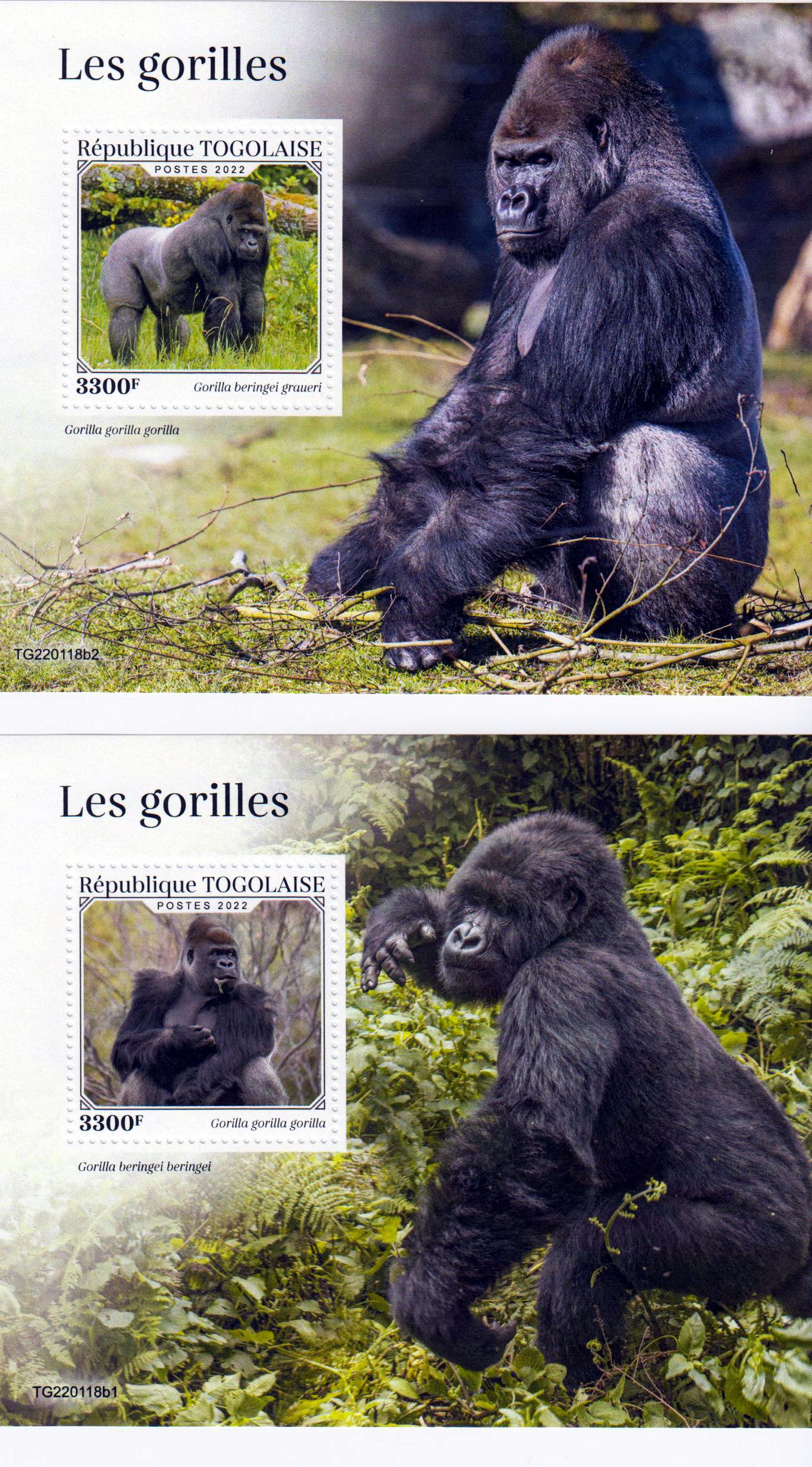 Block: Gorillas 2022