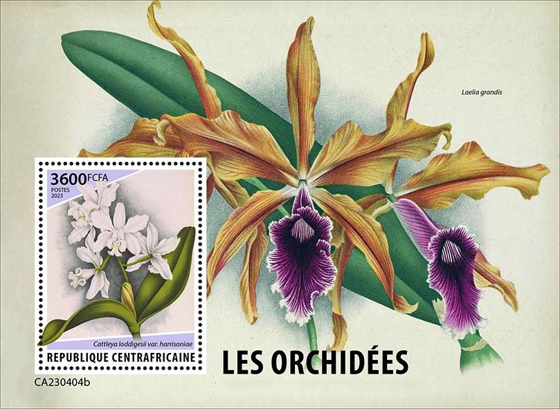 Block: Orchideen 2023