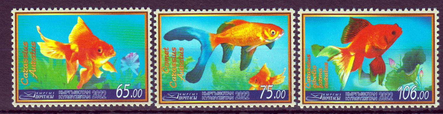 Goldfische 2022