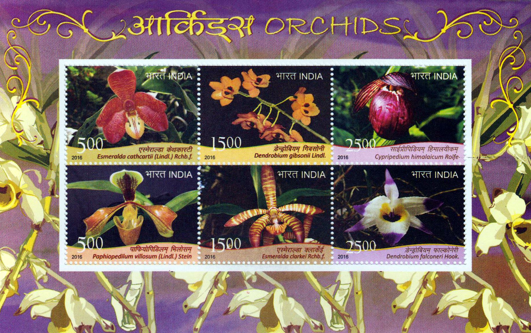 Block: Orchideen 2016